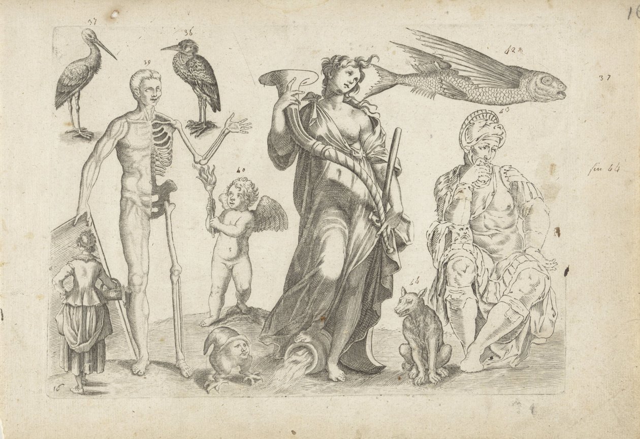 Study Sheet with Drawing Examples: Animals and Various Figures by Michael Snijders
