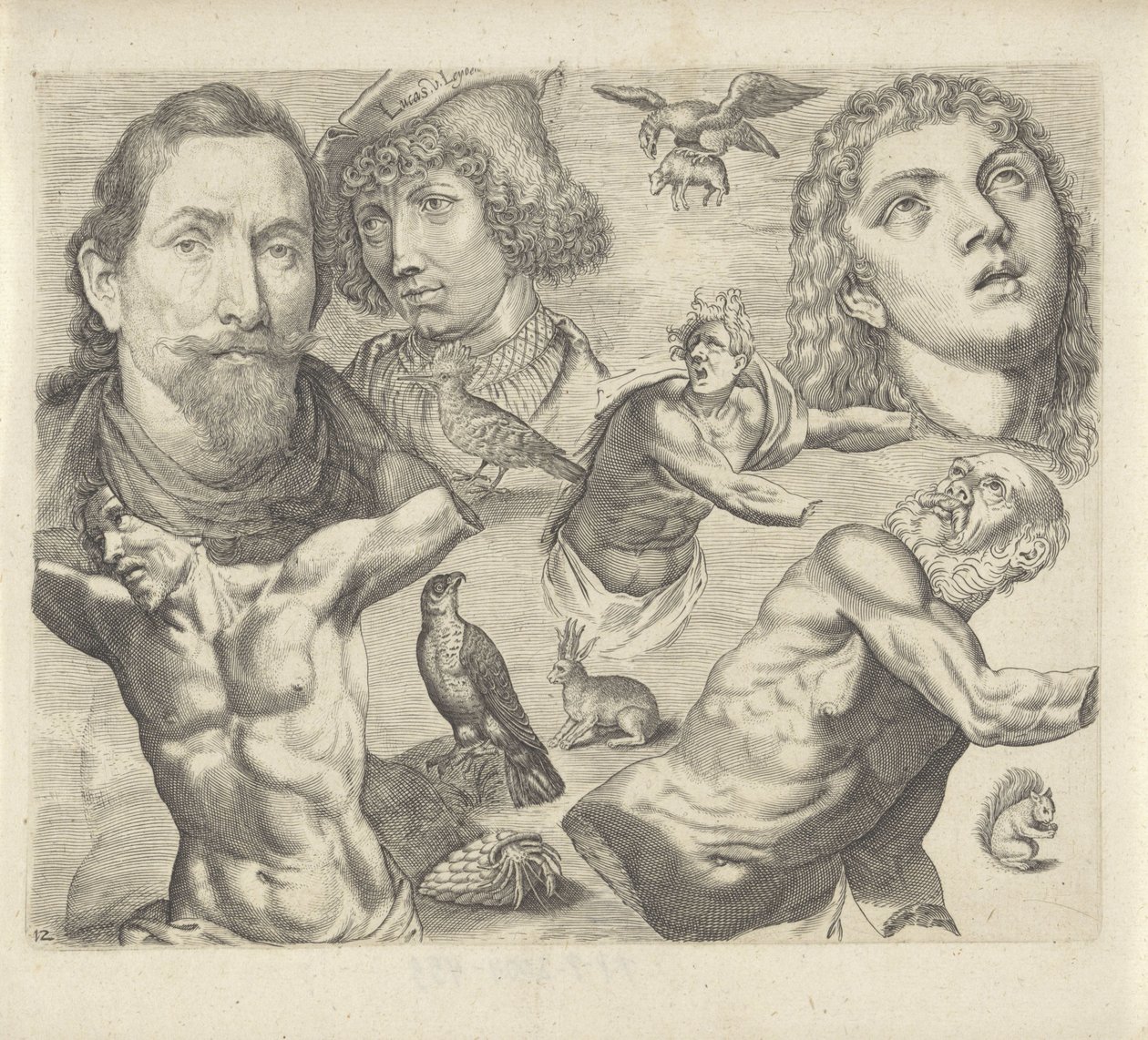 Study Sheet with Drawing Examples: Heads, Torso, and Animals (Drawing Examples series) by Michael Snijders