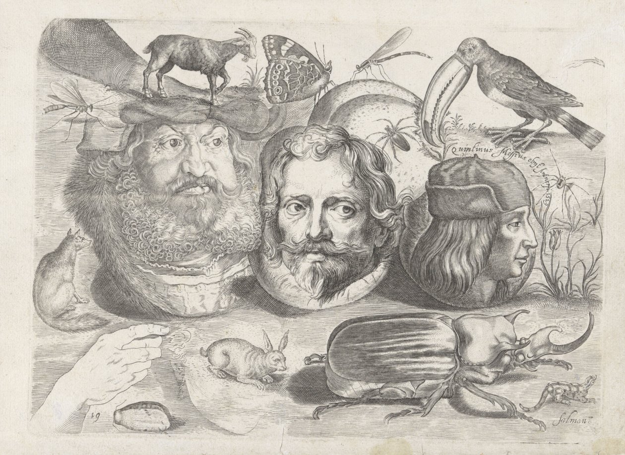 Study Sheet with Drawing Examples: Portraits, Animals, Insects by Michael Snijders