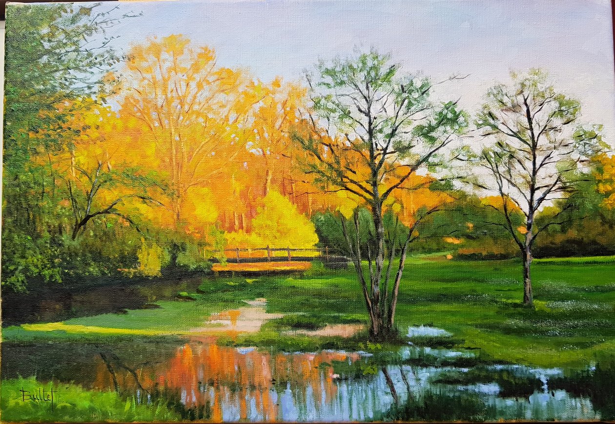 Flooded Field in Gironde by Michel Bultet