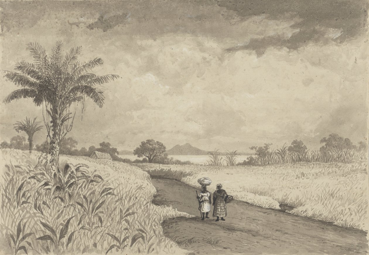 The Road to the Pitch Lake by Michel Jean Cazabon