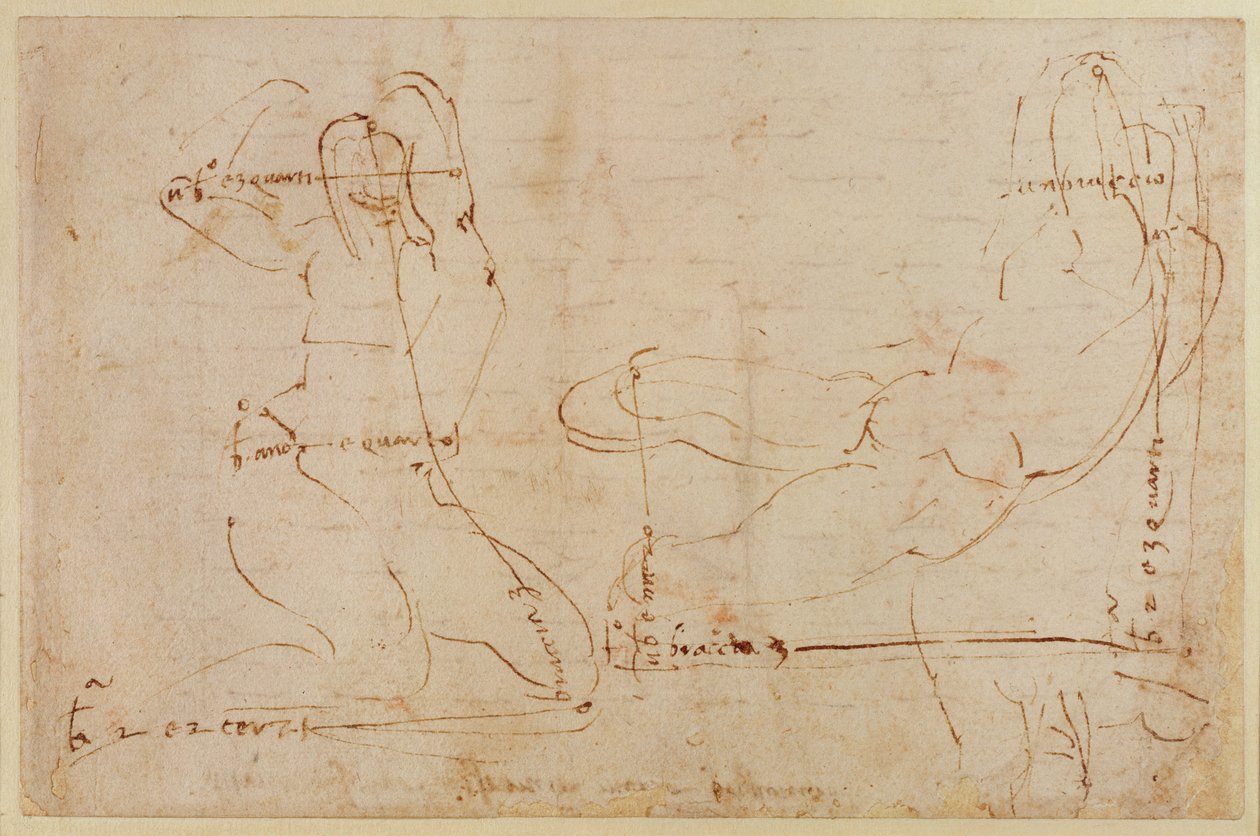 Study for River God by Michelangelo Buonarroti