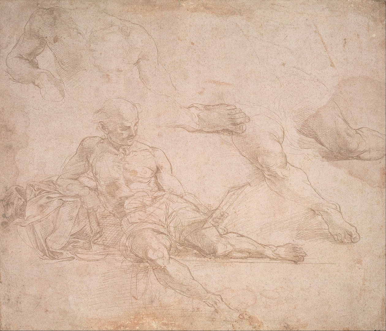 Study for the Figure of Diogenes in the School of Athens by Michelangelo Buonarroti