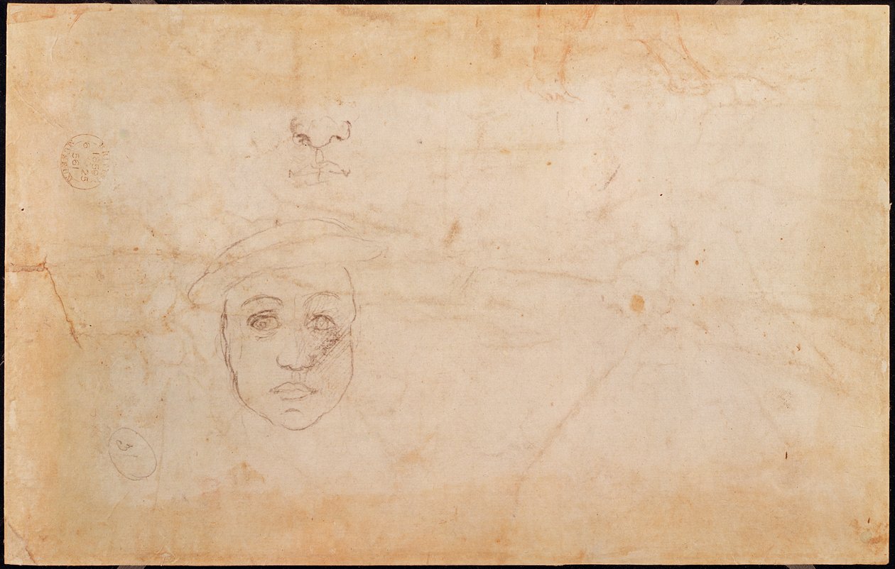Study of a Male Head (verso) by Michelangelo Buonarroti