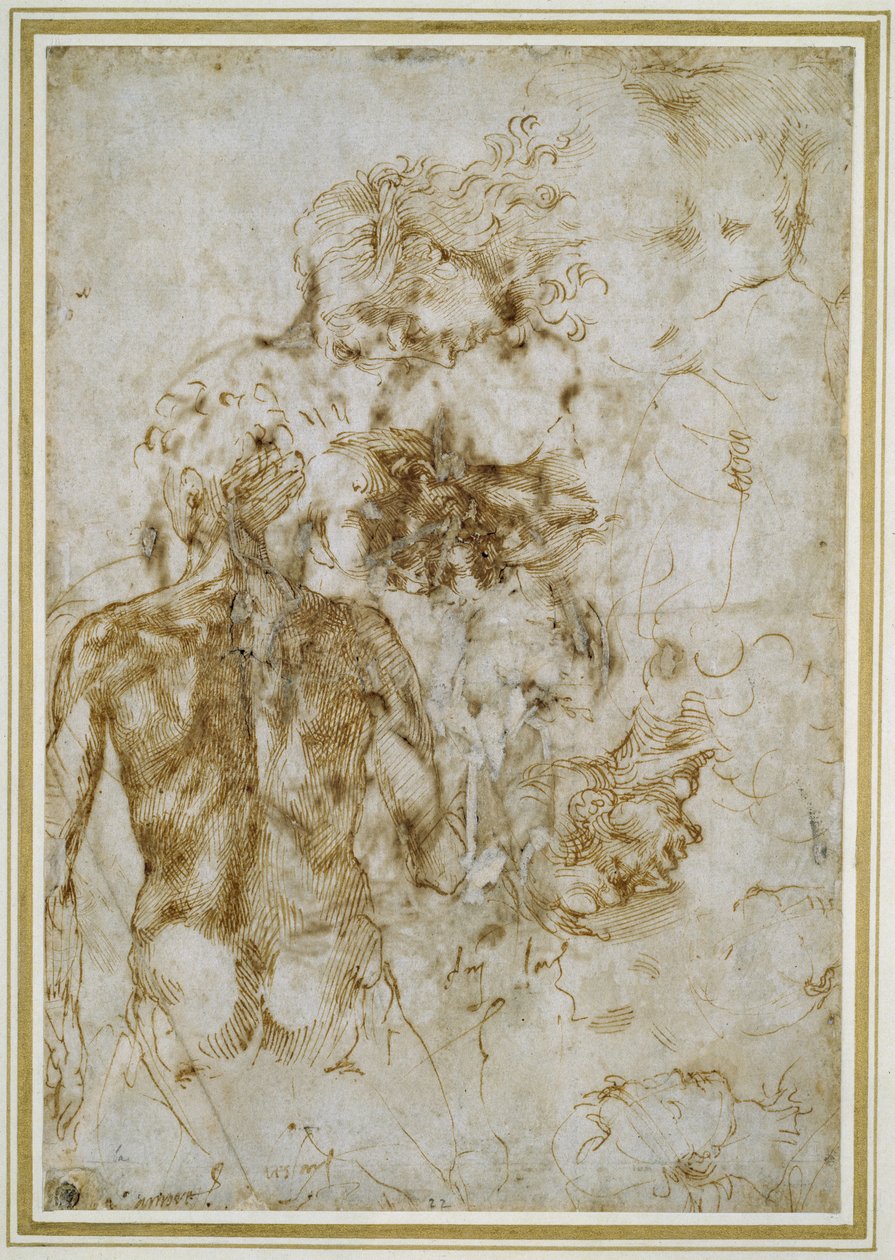 Various Figure Studies by Michelangelo Buonarroti