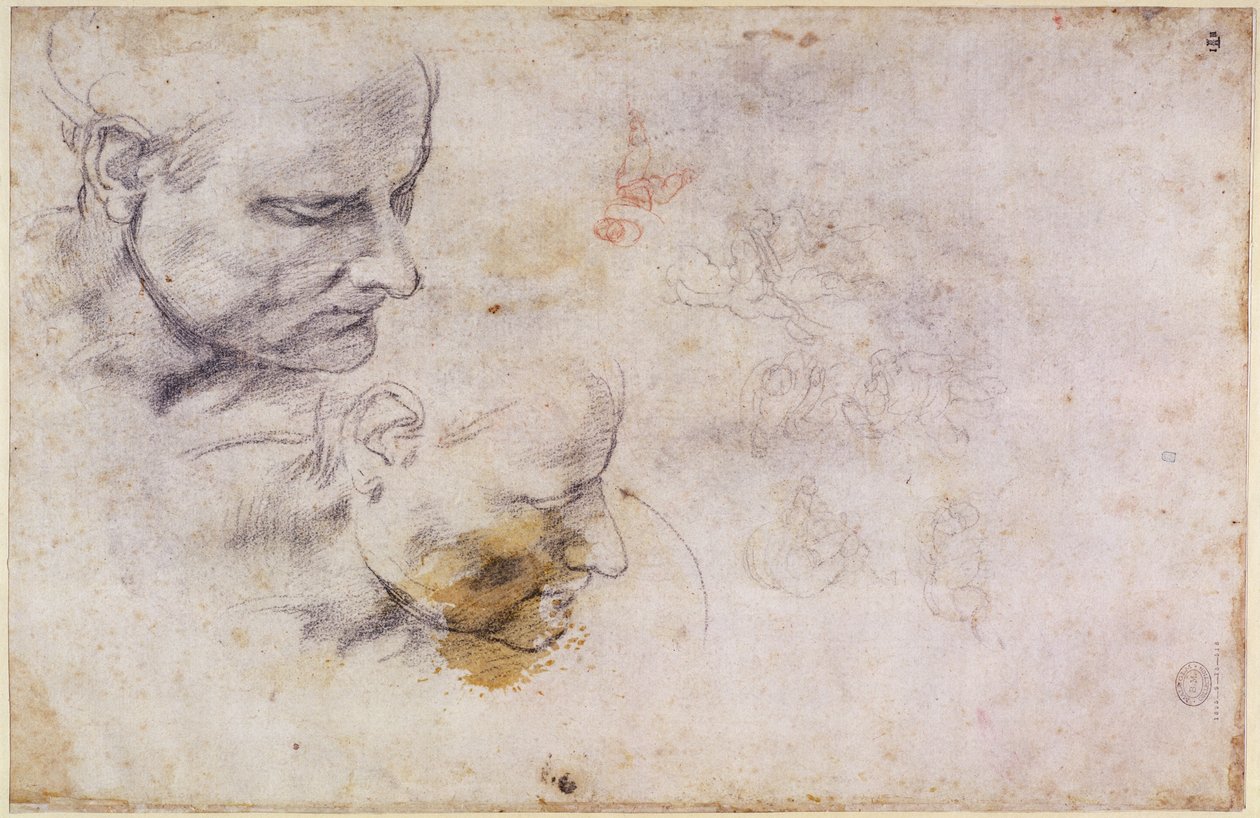 Sketch of a male head, in two positions by Michelangelo Buonarroti