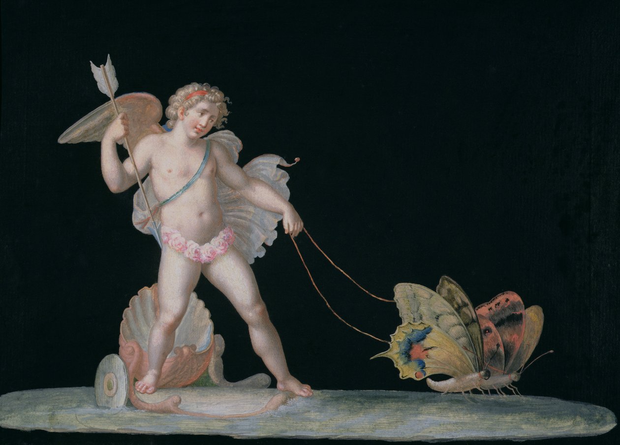 Cupid led by butterflies by Michelangelo Maestri