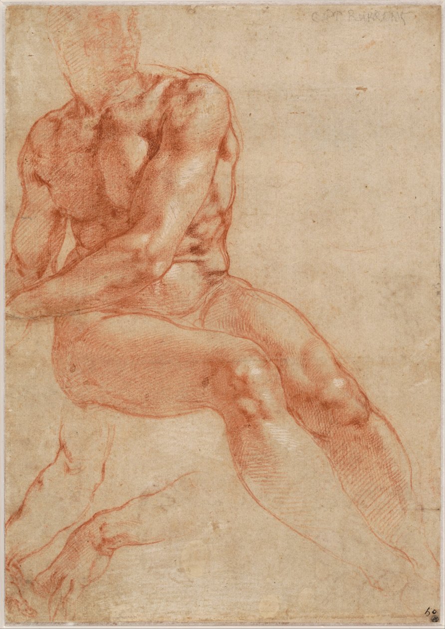 Seated Young Male Nude and Two Arm Studies (recto), c. 1510-11 by Michelangelo