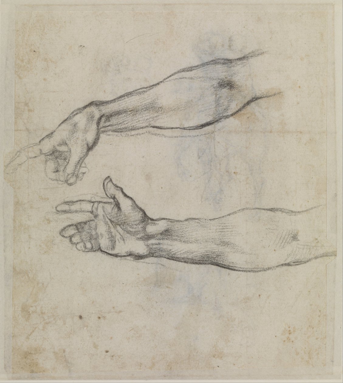 Studies of an Outstretched Arm for the Fresco 