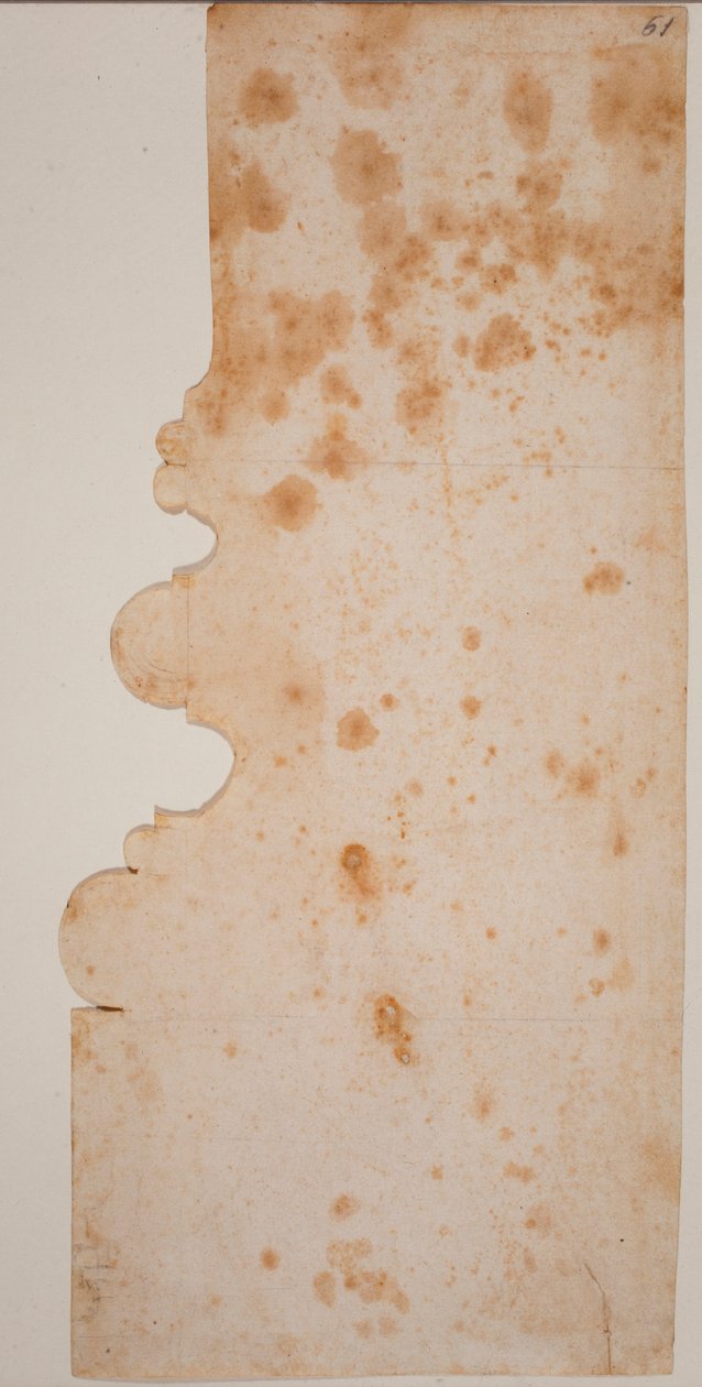 Column base profile for the New Sacristy by Michelangelo Buonarroti