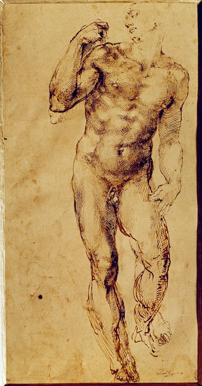 Study of a Standing Nude Man by Michelangelo Buonarroti