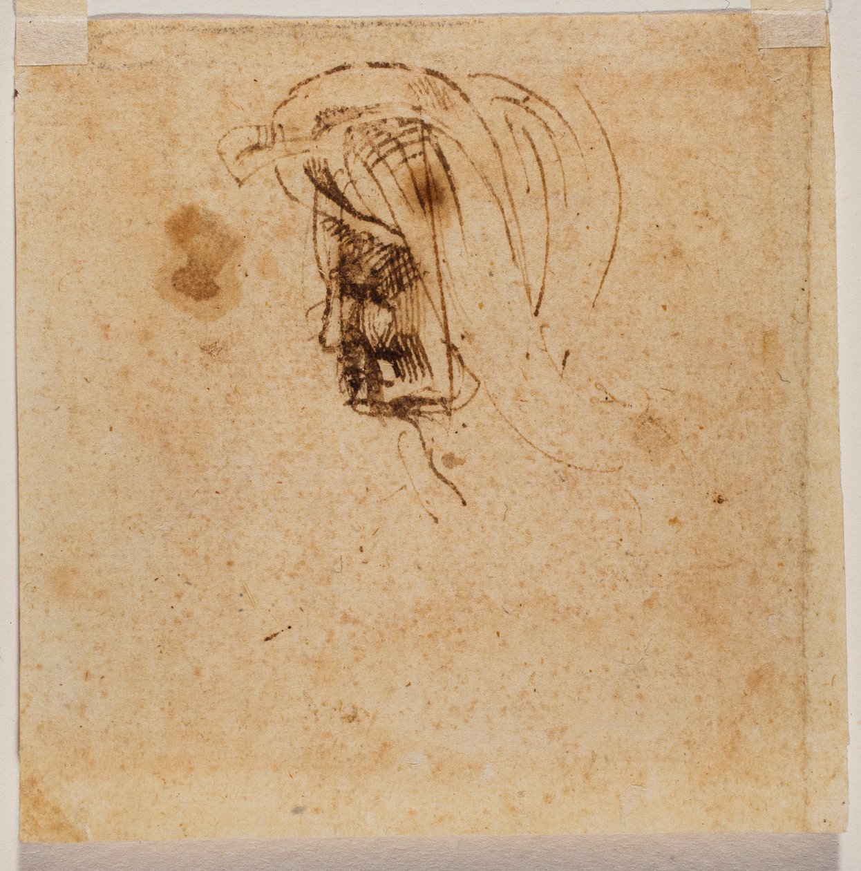 Female head by Michelangelo Buonarroti