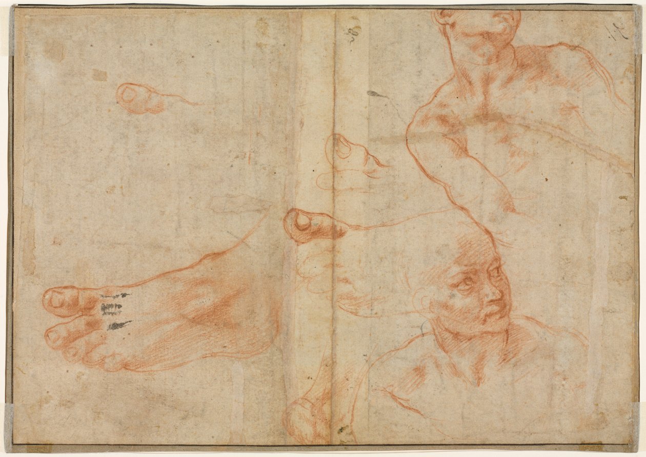 Figure Studies for the Sistine Ceiling (verso) by Michelangelo Buonarroti