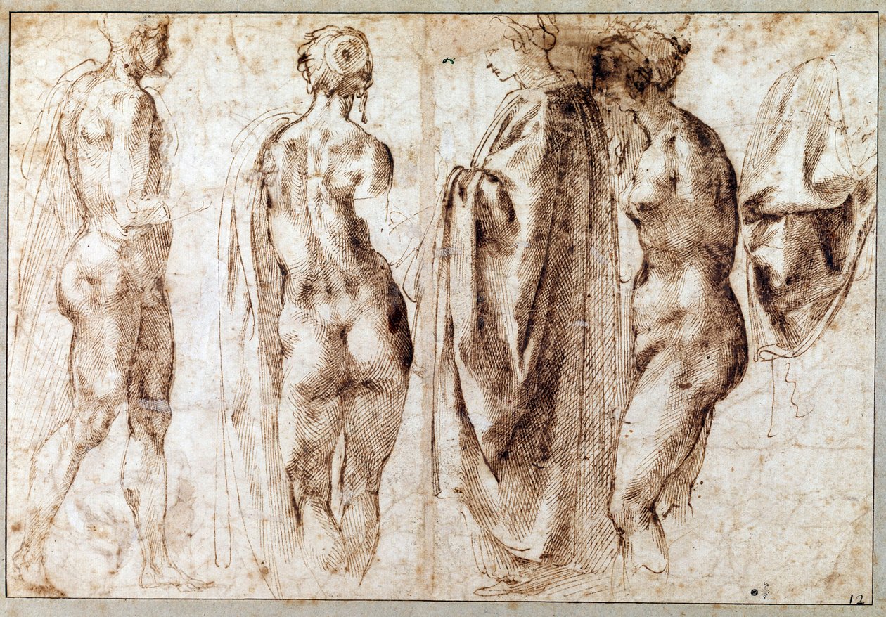 Group of four standing figures and a drape by Michelangelo Buonarroti