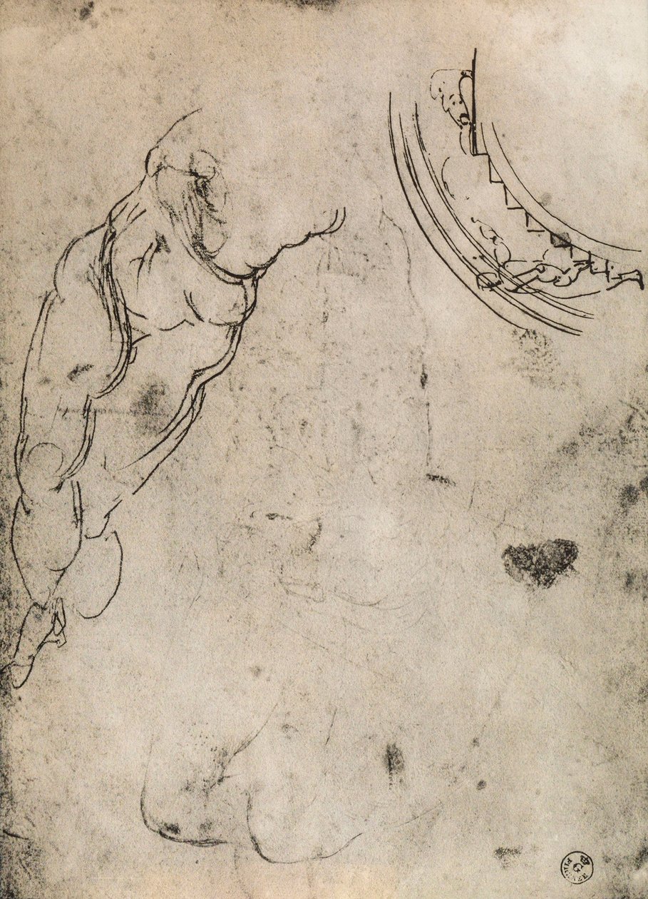 Male Legs by Michelangelo Buonarroti