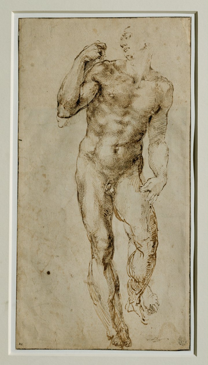 Male Nude, Front View, circa 1502-1506 by Michelangelo Buonarroti