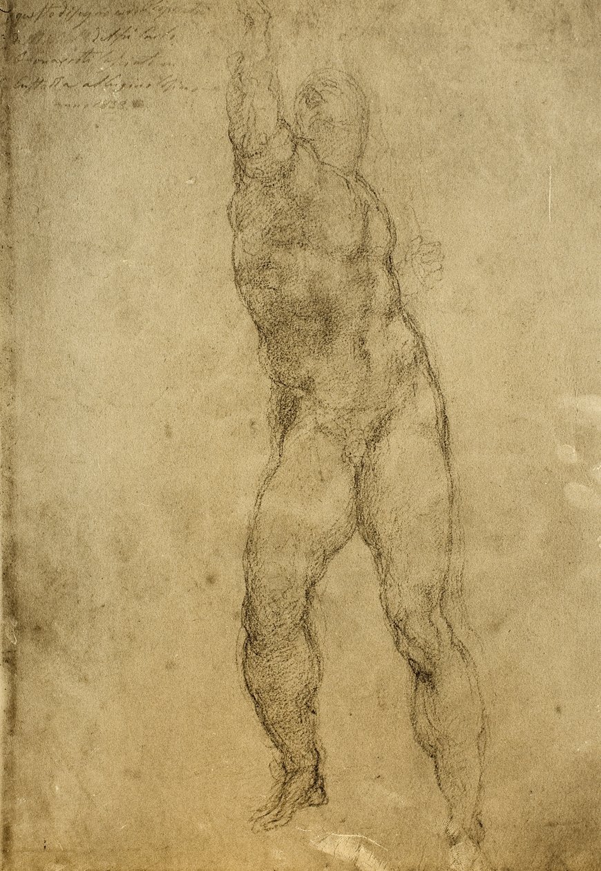 Nude Study by Michelangelo Buonarroti
