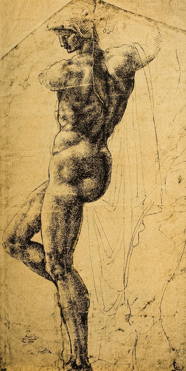Nude Study by Michelangelo Buonarroti