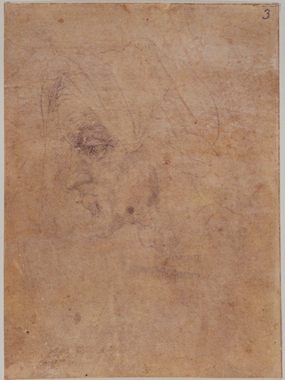 Profile of an old woman by Michelangelo Buonarroti