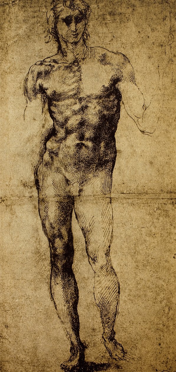 Study for a Male Nude by Michelangelo Buonarroti