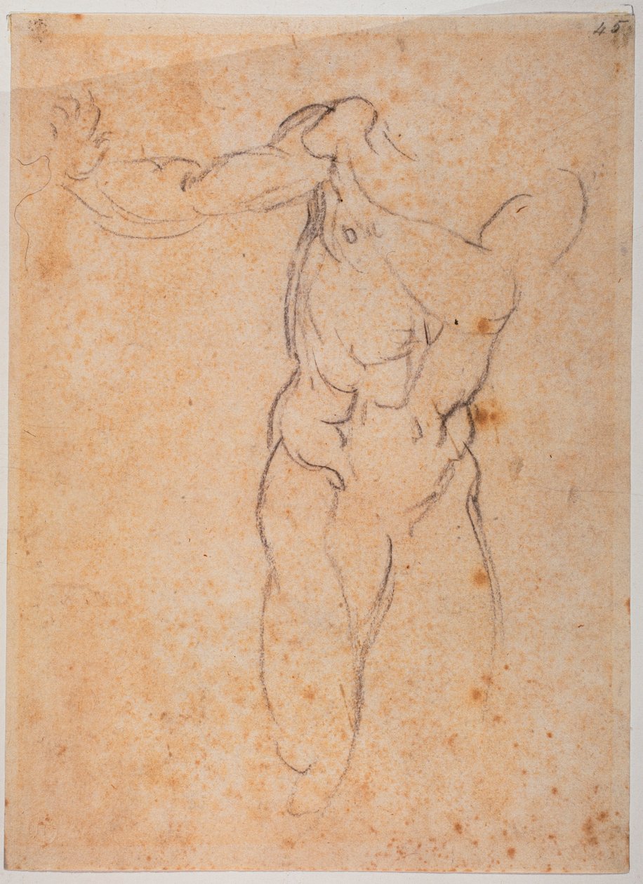 Study for the Adam of the 