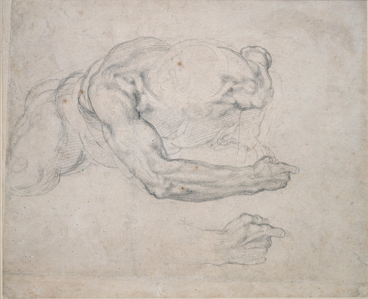 Study of a Man Rising from the Ground by Michelangelo Buonarroti