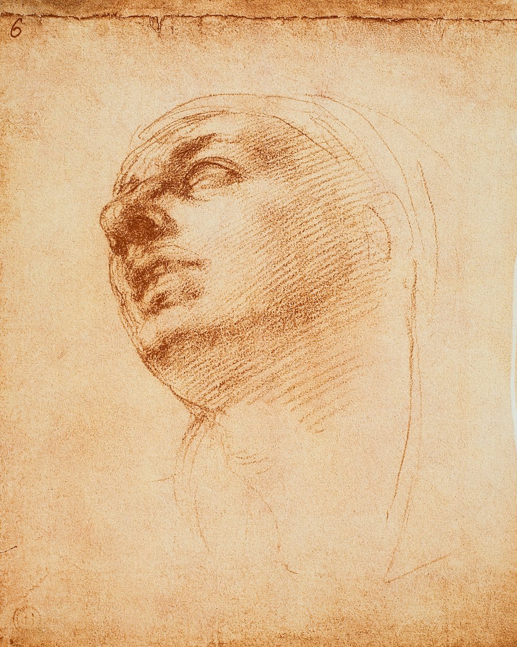 Study of a face by Michelangelo Buonarroti