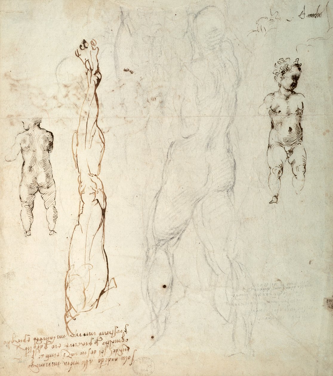 Study of the Christ Child and an Anatomical Drawing with Notes (verso) by Michelangelo Buonarroti