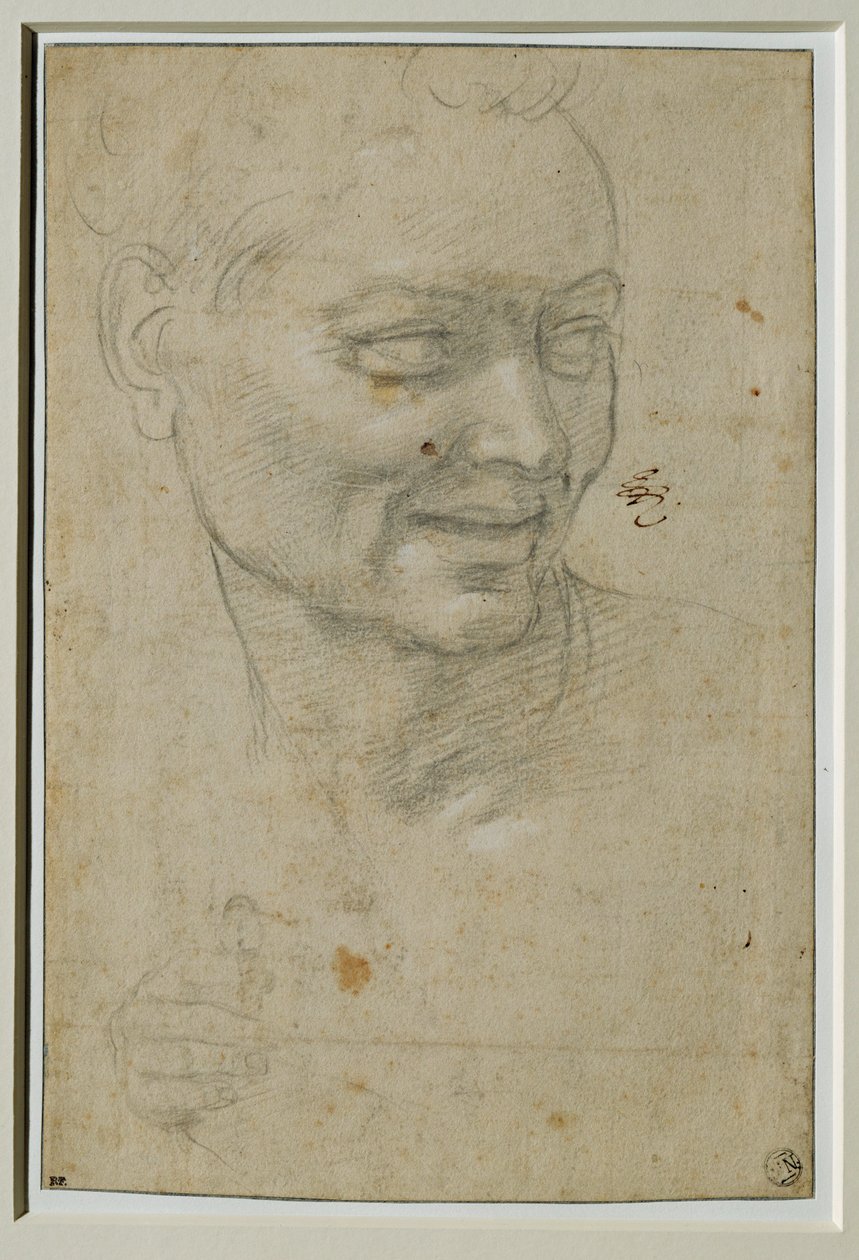 Head and Right Hand of the Ignudo Above and to the Left of Isaiah, Sistine Chapel Ceiling by Michelangelo Buonarroti