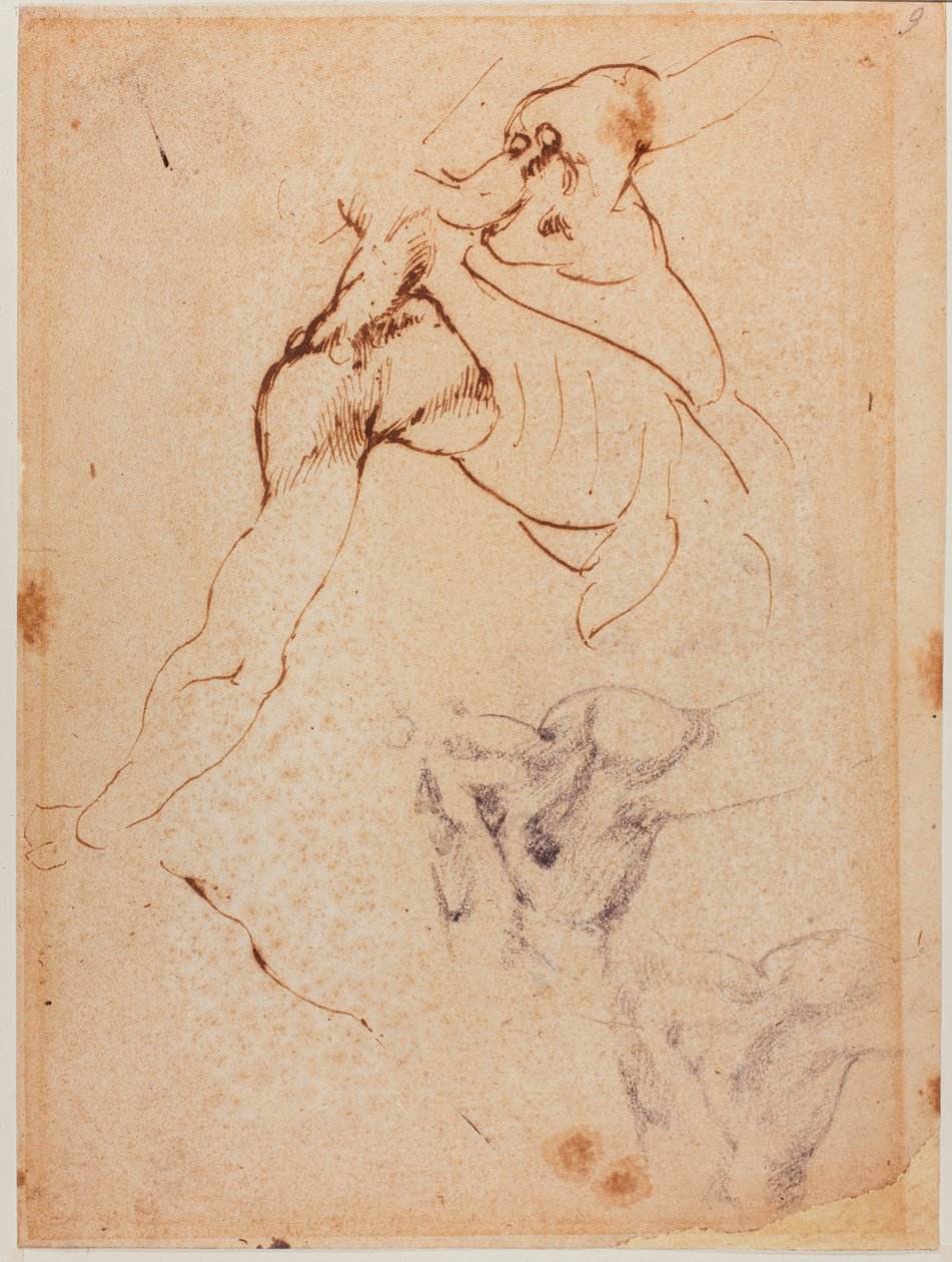 Torso study for the 