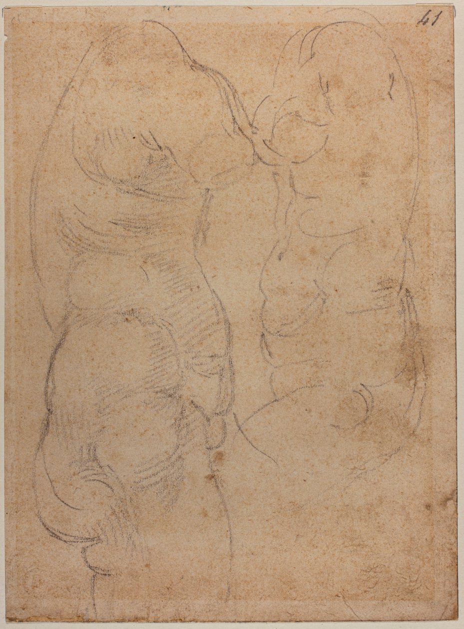 Two Studies of an Ancient Venus by Michelangelo Buonarroti