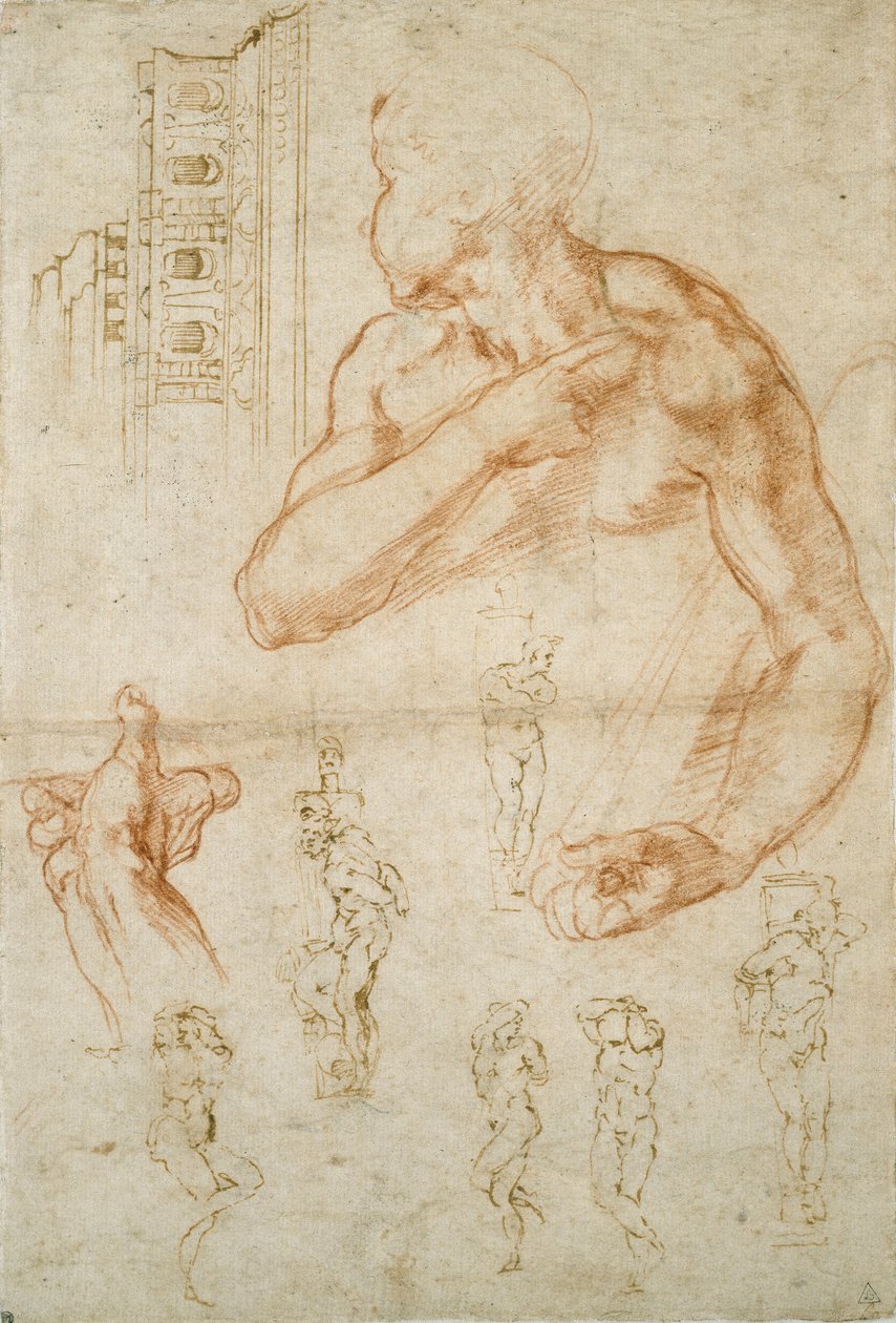 Various Studies for the Sistine Ceiling and the Tomb of Pope Julius II by Michelangelo Buonarroti