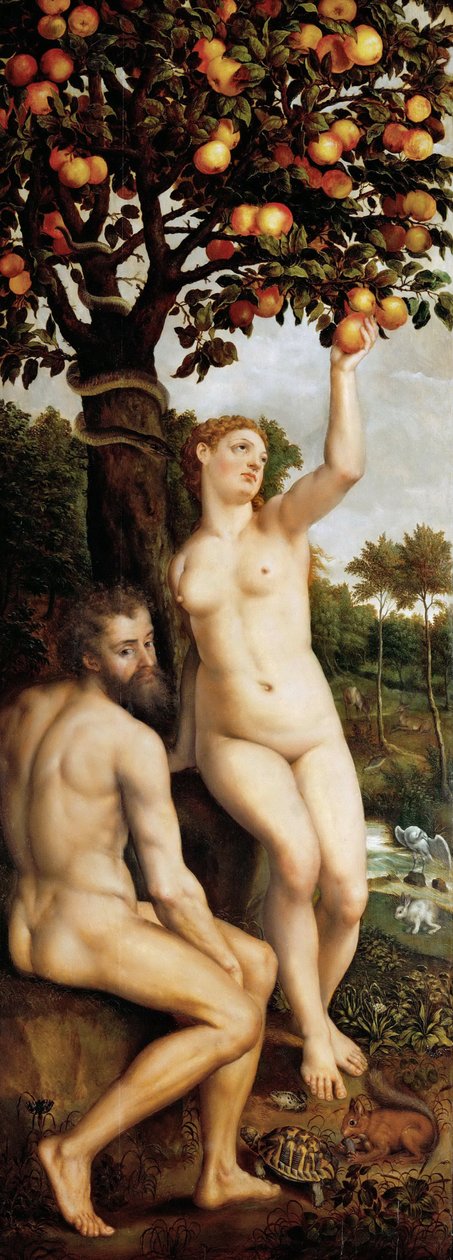 The Fall of Man by Michiel I Coxie or Coxcie