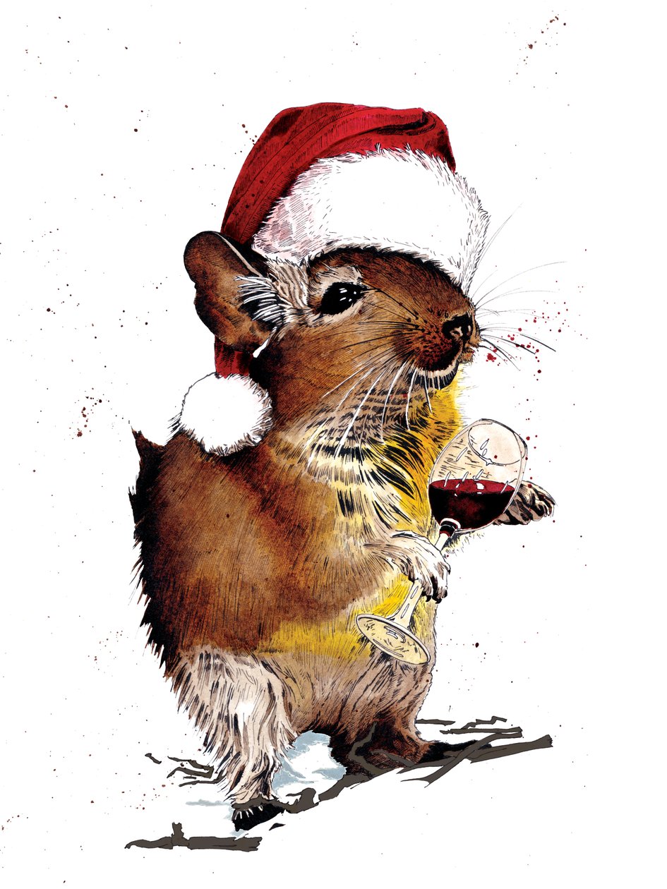 Christmas Degu on White by Mike Davis