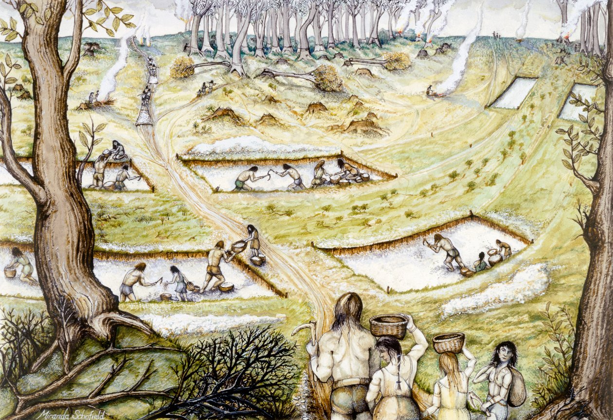 Digging defence ditches, c5th century BC by Miranda Schofield