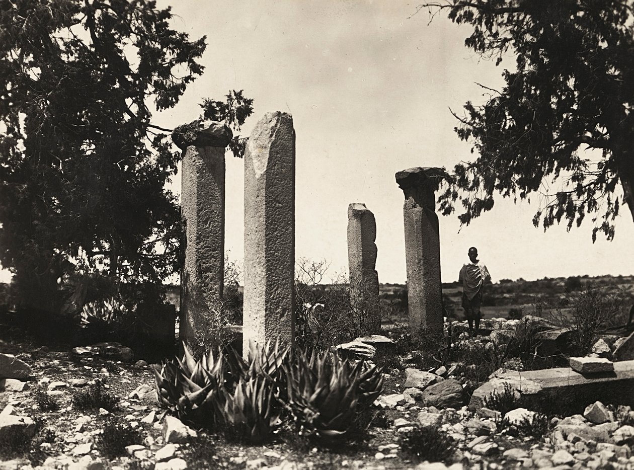 Building an Empire in the Fascist age: Axum remains at Cohaito by Modestino Baldinetti