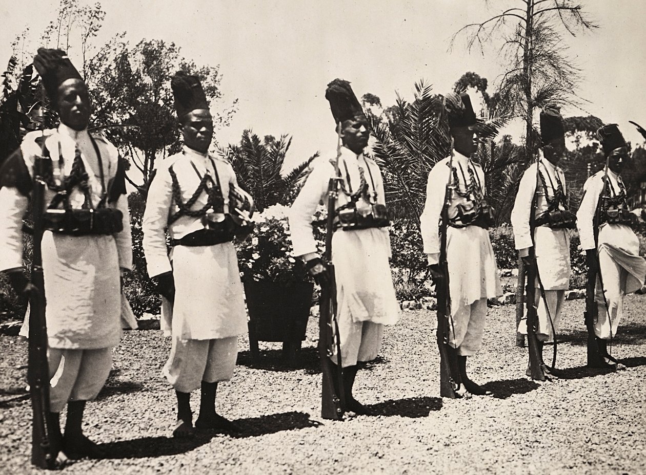 Building an Empire in the Fascist age: the faithful by Modestino Baldinetti