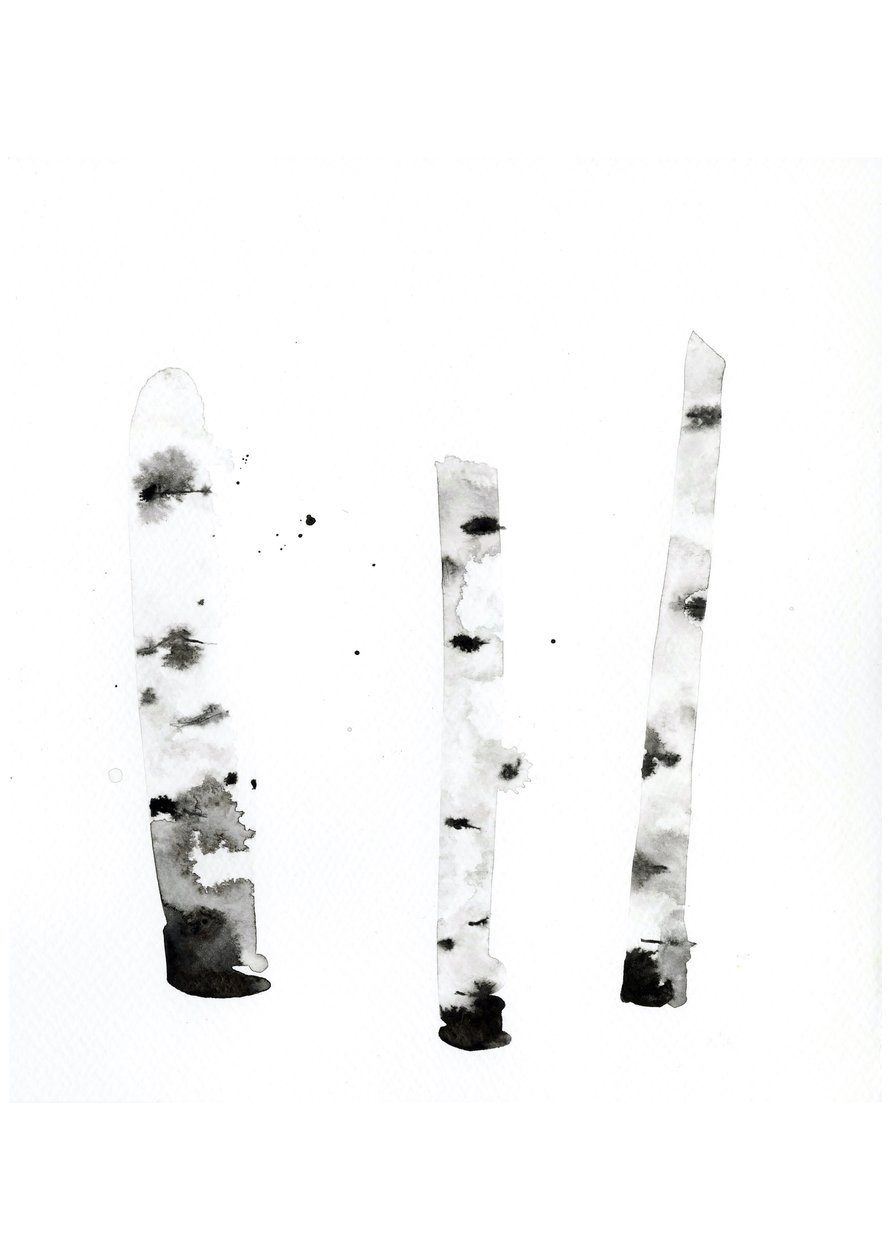 Ghost Birch by Monica Perez Vega