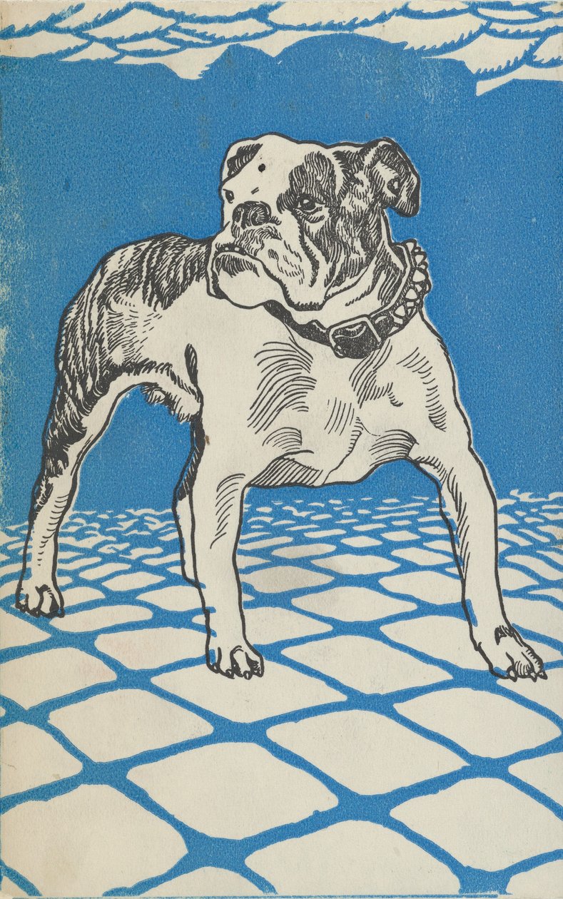 Bulldog by Moritz Jung