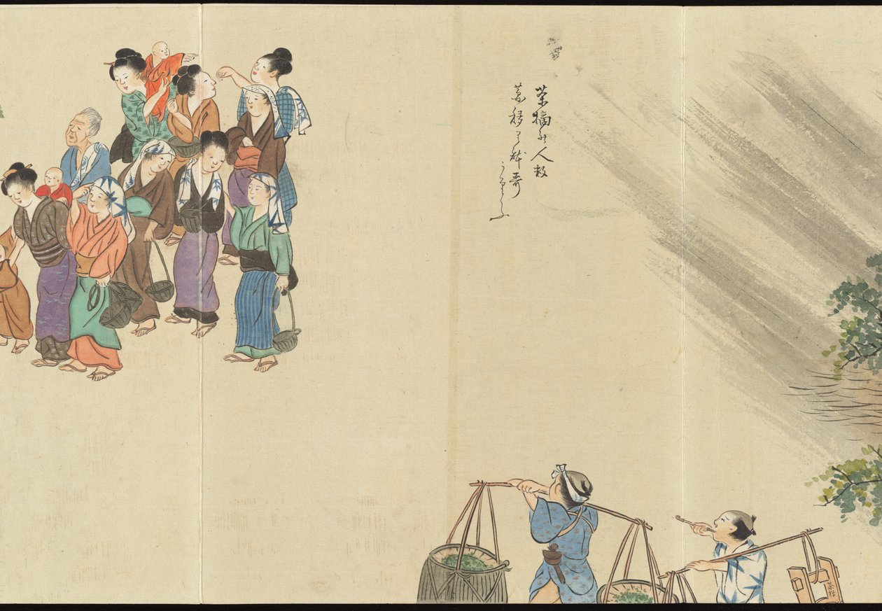 Illustrations of Uji Tea Production by Motonari Sait?