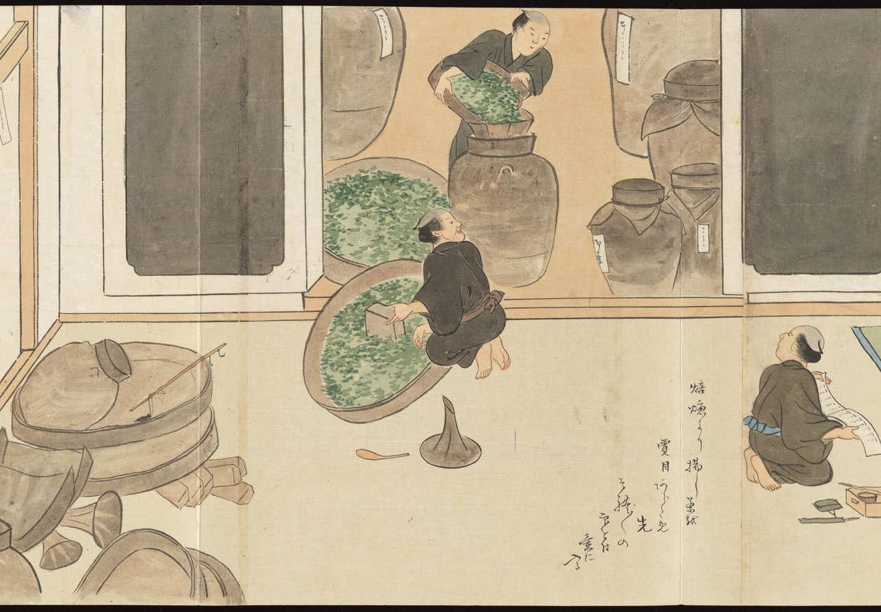Illustrations of Uji Tea Production by Motonari Sait?