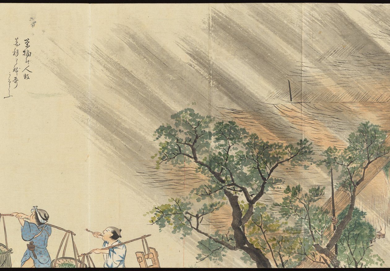 Illustrations of Uji Tea Production by Motonari Sait?