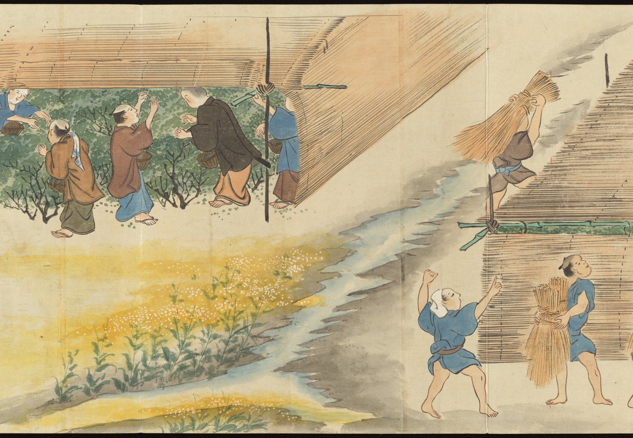 Illustrations of Uji Tea Production by Motonari Sait?