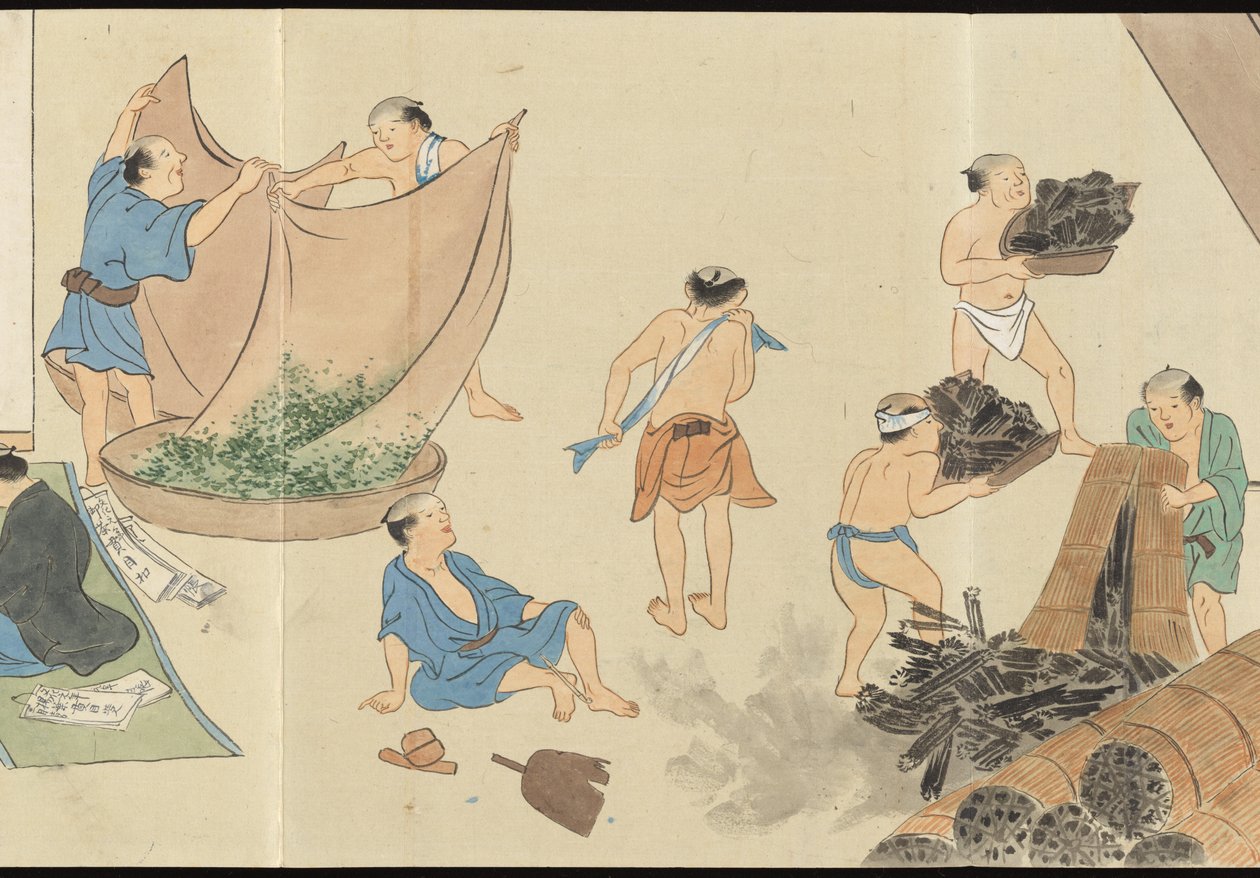Illustrations of Uji Tea Production by Motonari Sait?