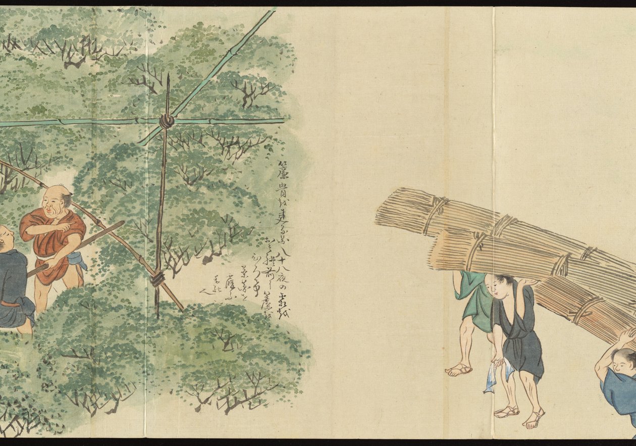 Illustrations of Uji Tea Production by Motonari Sait?