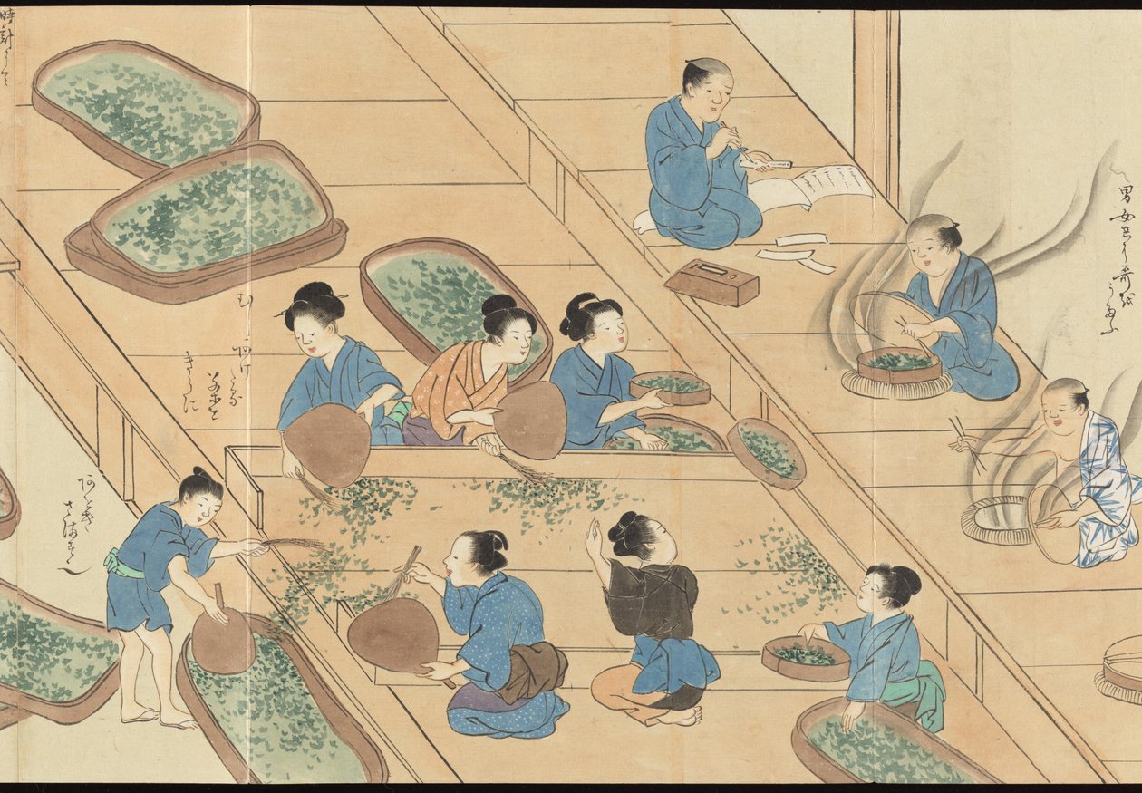 Illustrations of Uji Tea Production by Motonari Sait?