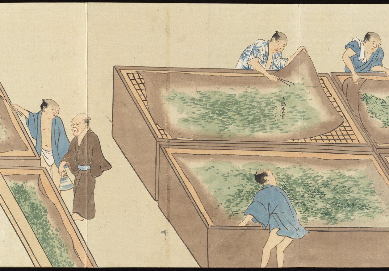 Illustrations of Uji Tea Production by Motonari Sait?