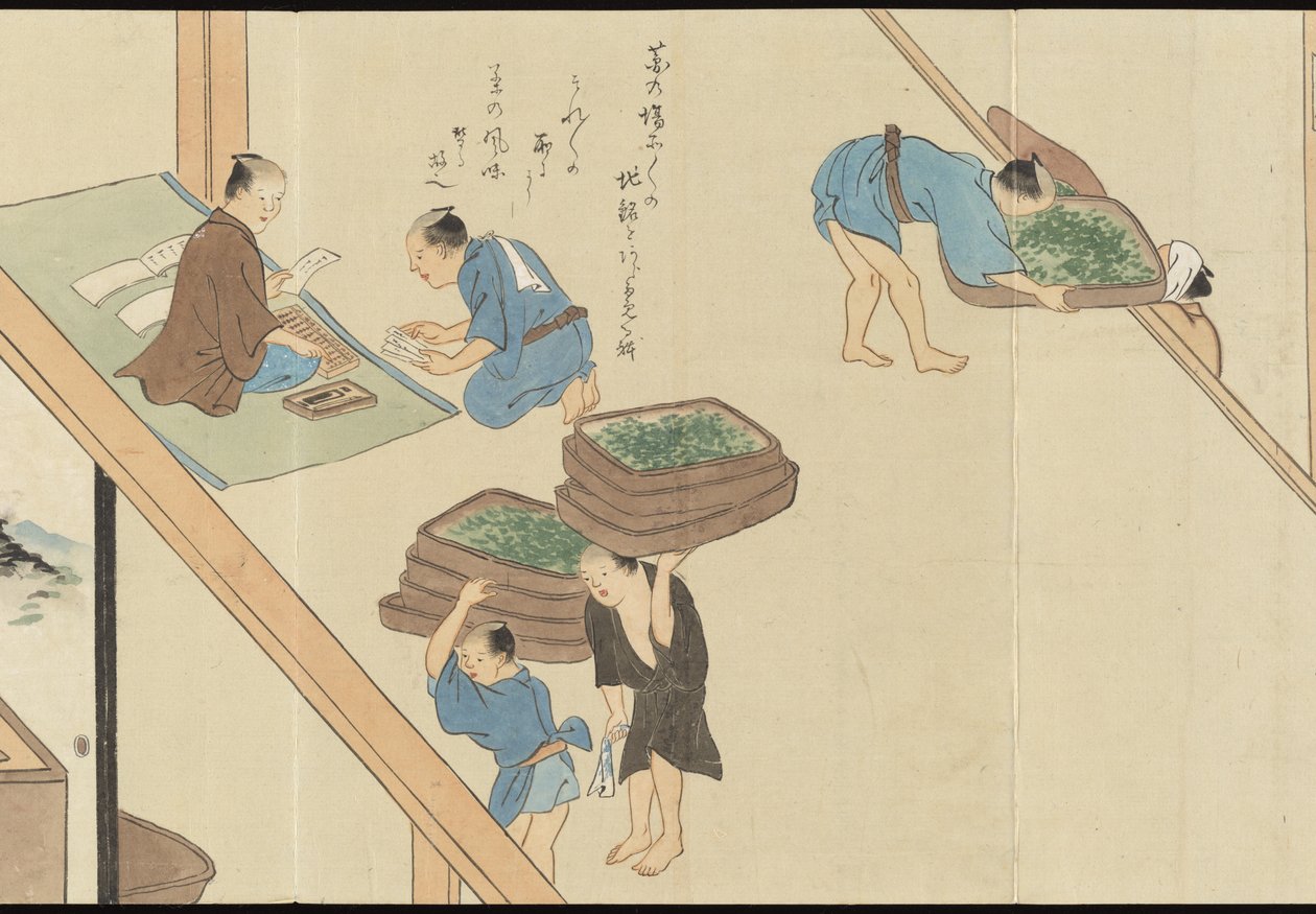 Illustrations of Uji Tea Production by Motonari Sait?