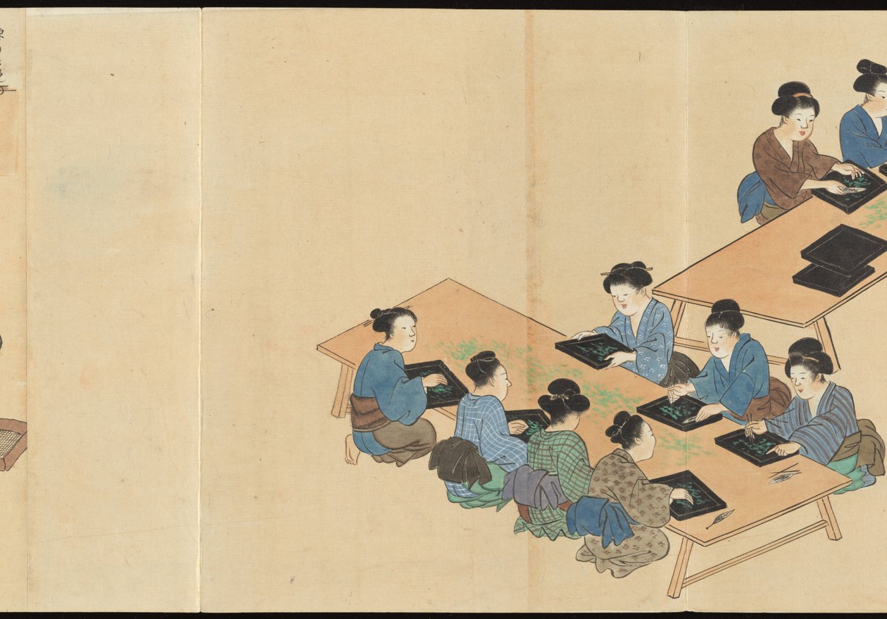 Illustrations of Uji Tea Production by Motonari Sait?