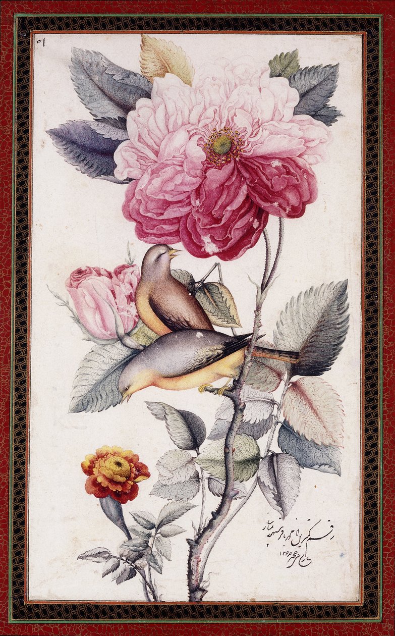 Gul-o Bulbul, c. 1849-50 by Muhammad Baqir